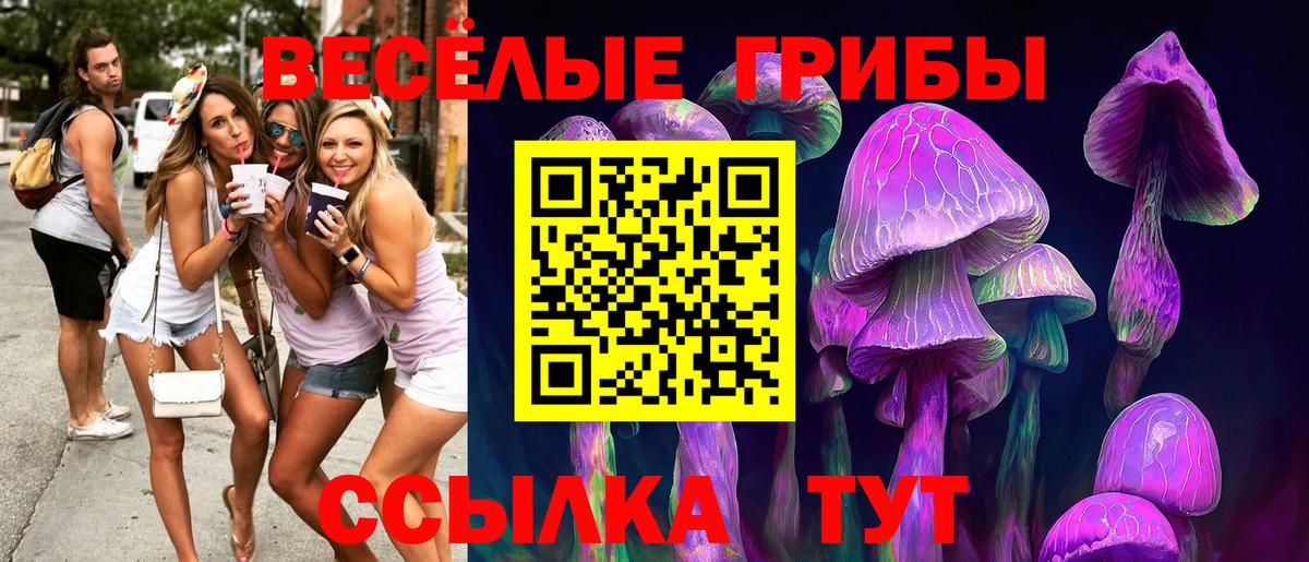Кудымкар  Псилоцибиновые грибы ЛСД  Вход с VPN 